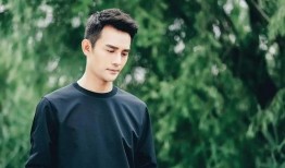 娱乐大爆料王凯,揭秘明星幕后故事